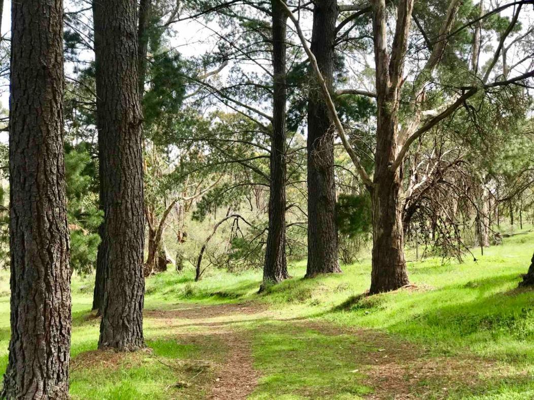 Hotel Adelaide Hills Escape Woodside Exterior foto